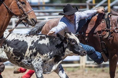 Rodeo Scene